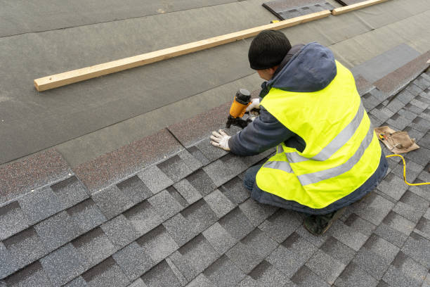 Best Storm Damage Roof Repair  in Bellview, FL